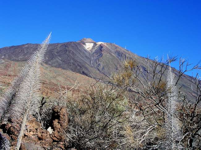 Teide
